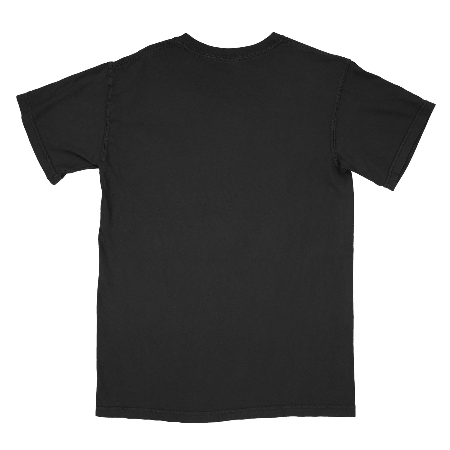 Back view of black Comfort Heavyweight T-shirt