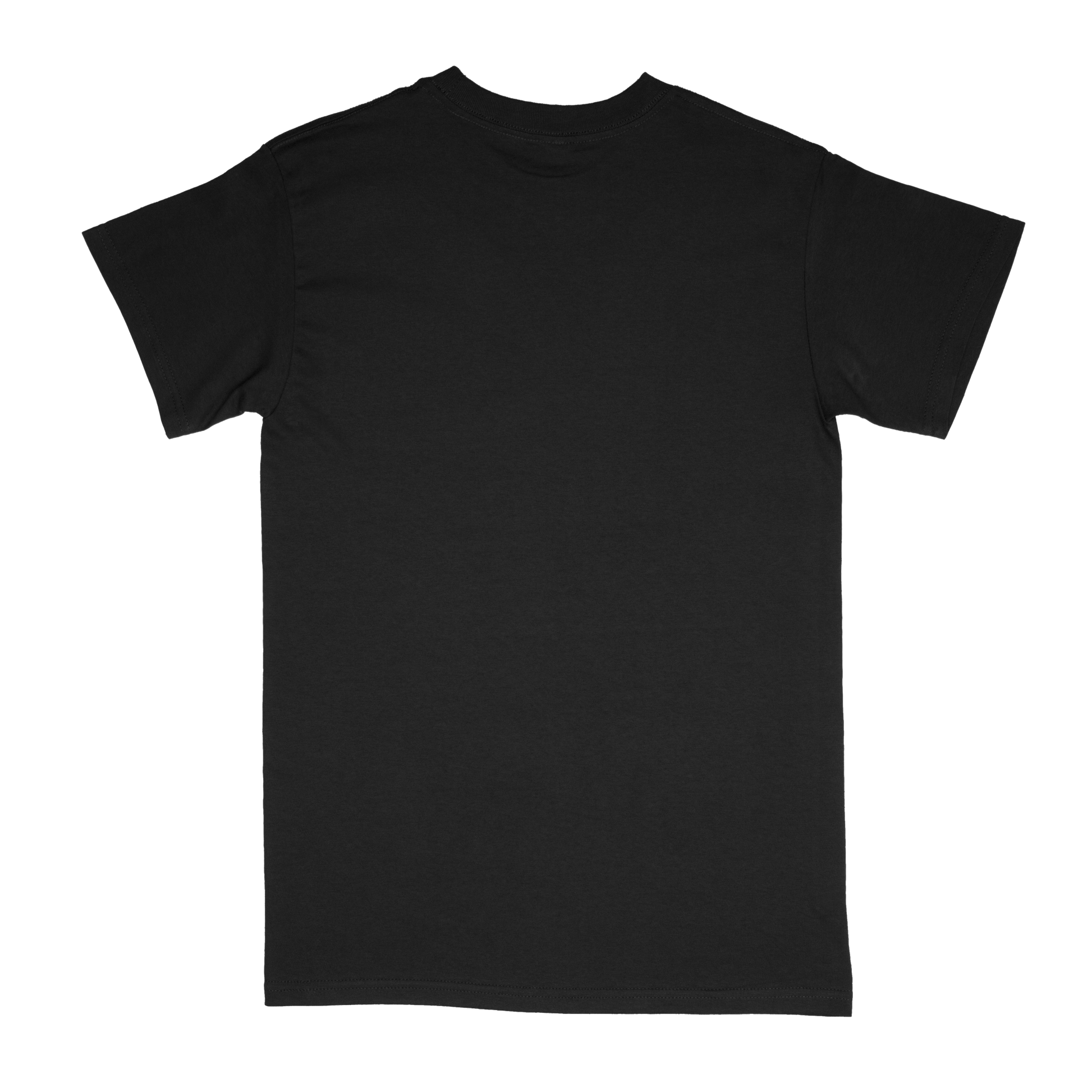 Back view of black Standard Basic T-shirt 
