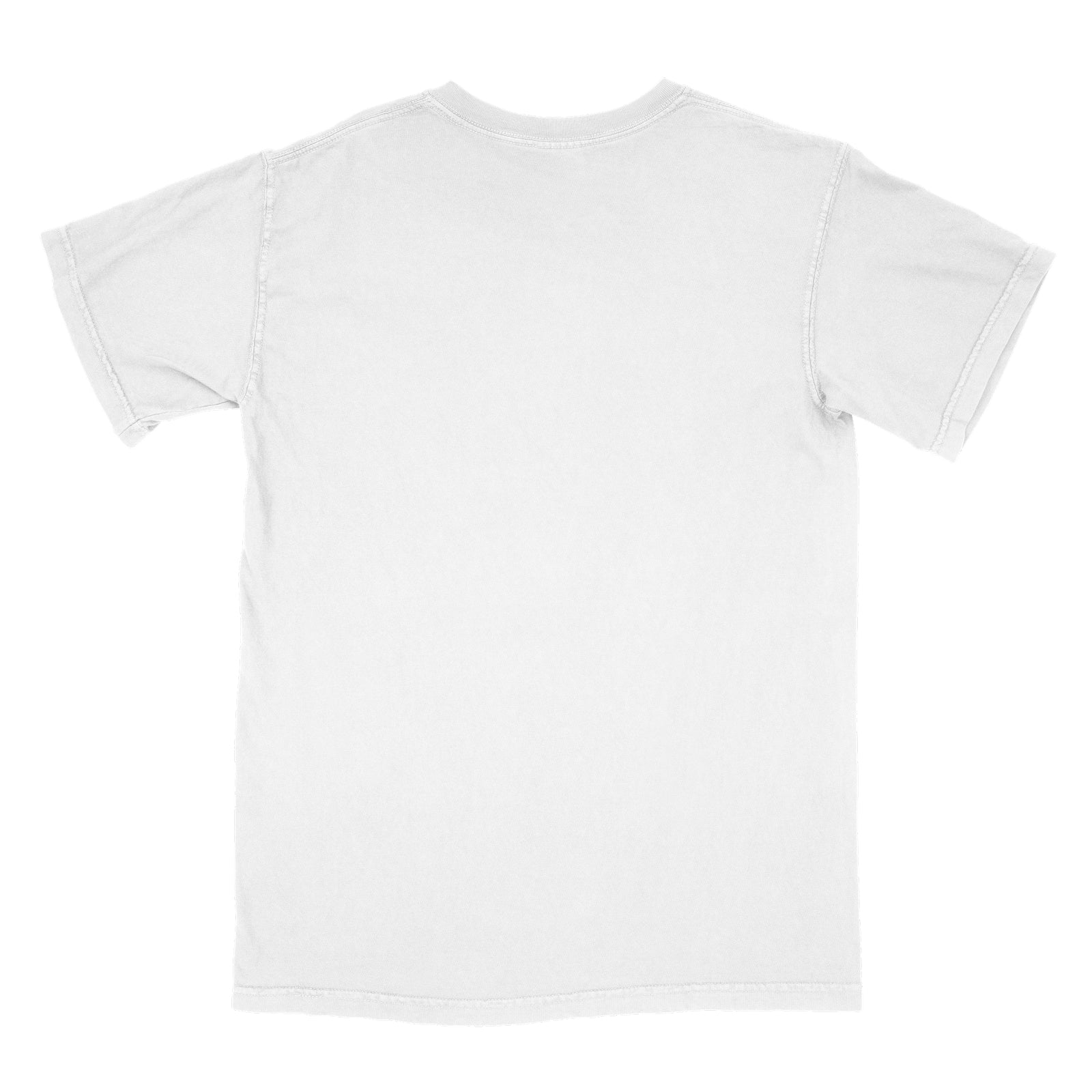 Back view of white Comfort Heavyweight T-shirt